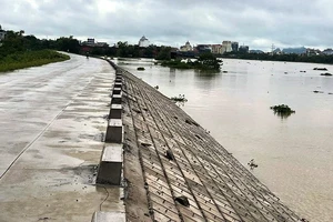 Nam Định tăng cường bảo đảm an toàn đê điều