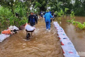 Thái Bình: Ngập úng cục bộ một số nơi, báo động số 1 trên các tuyến sông