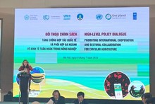 Vietnam, UNDP discuss boosting circular agriculture practices