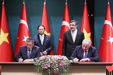 Vietnamese, Turkish national flag carriers cooperate on goods transport