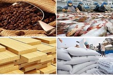 Agro-forestry-fishery sector posts trade surplus of over 12 bln USD in 2023