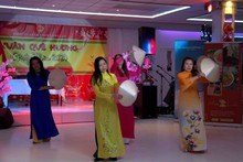 Vietnamese in Netherlands, Japan celebrate Tet