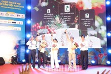 Winners of Vietnam Specialty Coffee Contest announced