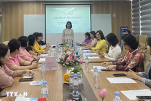 Vietnamese female entrepreneurs strengthen connections