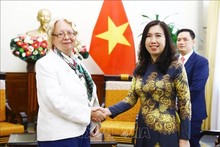 Vietnam to contribute more to UN, int’l organisations: official