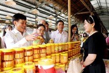 My Khanh Tourism Village in Can Tho recognised as four-star OCOP product