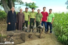 Back to nature for 9 wild animals at U Minh Ha National Park