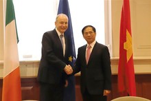 Vietnam, Ireland to forge cooperation in numerous spheres