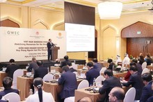 Vietnam business forum discusses mobilising resources for green transition