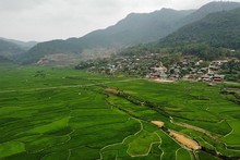 New vitality in resettlement village in mountainous Tua Chua District