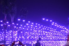 Fantastic Hanoi drone light show celebrates Lunar New Year 2024