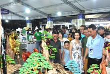 Quang Nam forum promotes innovation, e-commerce on digital platforms