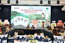 Solutions suggested to protect Da Lat agricultural product brands