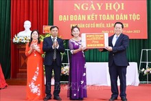 Bac Ninh: Co Mieu villagers celebrate great national solidarity festival