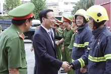 President pays pre-Tet visit to Ho Chi Minh City