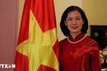 Guinea-Bissau President's Vietnam visit carries important significance: Ambassador