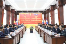 Vietnam, Laos strengthen cooperation in crime combat