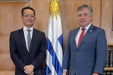 Plenty of room for Vietnam, Uruguay to boost cooperation: Uruguayan FM