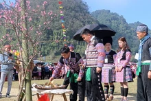 Gau Tao Festival of Mong ethnic people opens in Hoa Binh