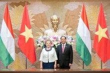 Vietnam, Hungary strengthen parliamentary supervision of bilateral agreements