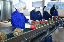 Vietnam maintains growth in agriculture