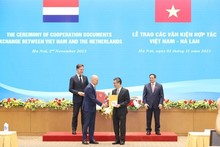 Vietnam, Netherlands exchange MoU on customs cooperation