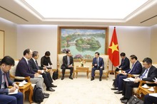 Vietnam, Japan promote financial mechanisms in green energy transition projects