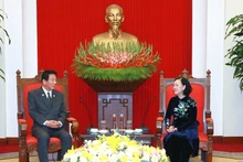 Party official hosts former Special Ambassador for Vietnam-Japan