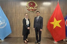 Vietnam supports UN’s humanitarian aid for Palestinians: Diplomat