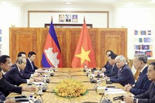 Vietnamese President, Cambodia's CPP, Senate leader hold talks