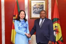 Mozambican President's visit - a milestone in bilateral relations: diplomat