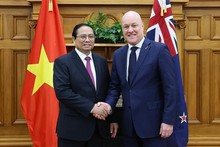 Vietnamese, New Zealand PMs outline major orientations for stronger ties