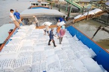 Vietnam’s rice exports hit record high since 1989