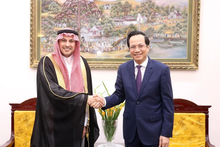 Vietnam, Saudi Arabia bolster labour collaboration