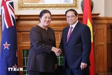 Vietnam, New Zealand share intensive, extensive relations: ambassador