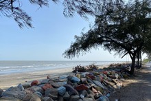 Exploring Can Gio Beach in Ho Chi Minh City