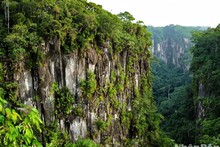 Night tours at Cuc Phuong National Park