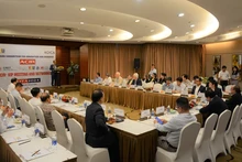 Da Nang forum connects regional, int’l scholars in training, research