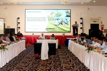 Workshop highlights Vietnam's potential for developing circular economy from rice by-products