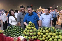 Typical products of the Northeastern region displayed in Ha Giang