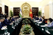 Vietnamese, Uzbek foreign ministers hold talks