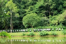 Cuc Phuong honoured as Asia’s Leading National Park 2024