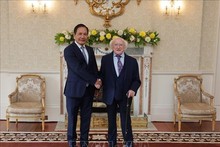 Top leader's visit to bring Vietnam-Ireland ties to new height: Ambassador