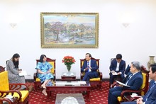 Vietnam, Romania look to promote labour cooperation