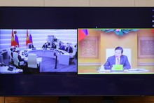 Vietnamese, Russian Deputy PMs hold online meeting