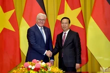 Vietnamese, German Presidents hold talks