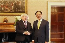 Vietnamese FM meets Irish President