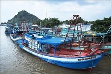 Thanh Hoa, Quang Tri step up efforts to combat IUU fishing