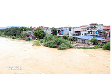 Vietnam, China unite to tackle Red River flooding after Typhoon Yagi