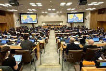 Vietnam calls for continuous goodwill implementation of UNCLOS 1982